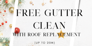 Holiday-themed ad offering "Free Gutter Clean with Roof Replacement" with festive decorations.