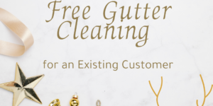 Promotional ad for "Free Gutter Cleaning for an Existing Customer" with holiday decor on marble background.