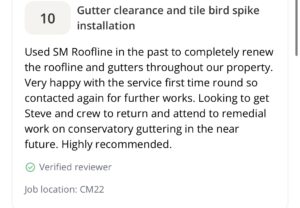 Screenshot of a customer review recommending gutter clearance and tile bird spike installation services.